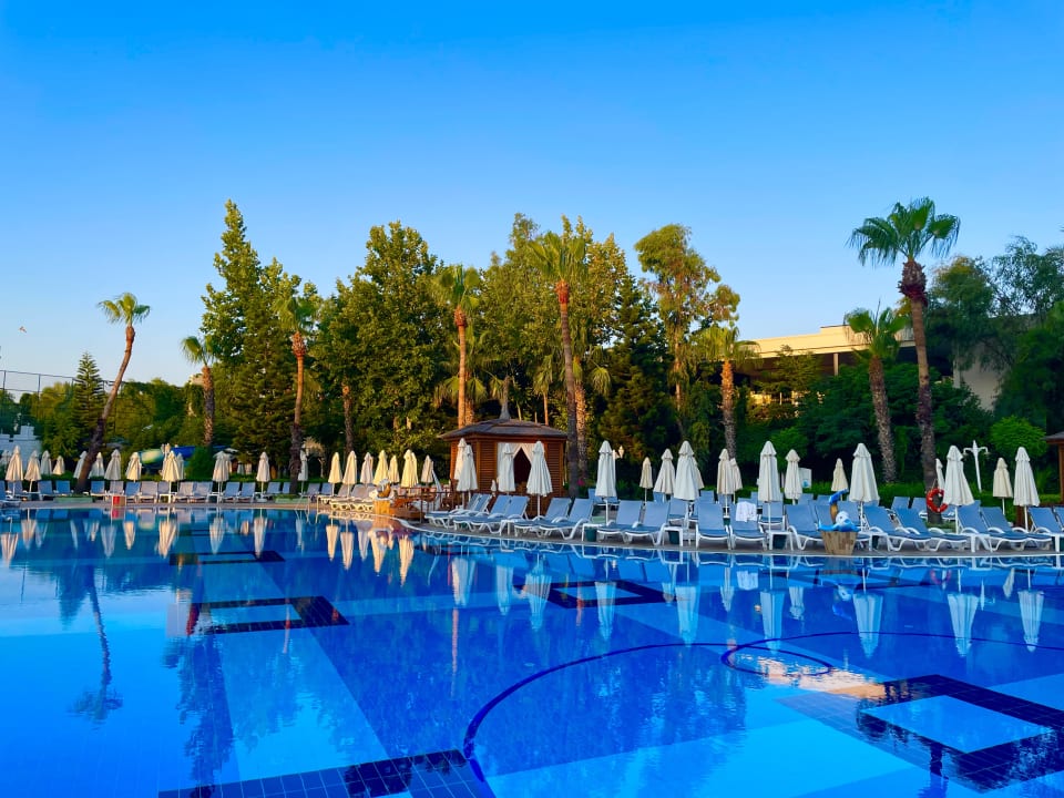 Pool Hotel Delphin Imperial