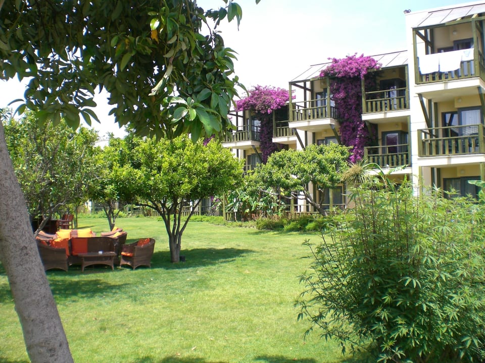 Hotelowa zieleń Limak Limra Hotel & Resort