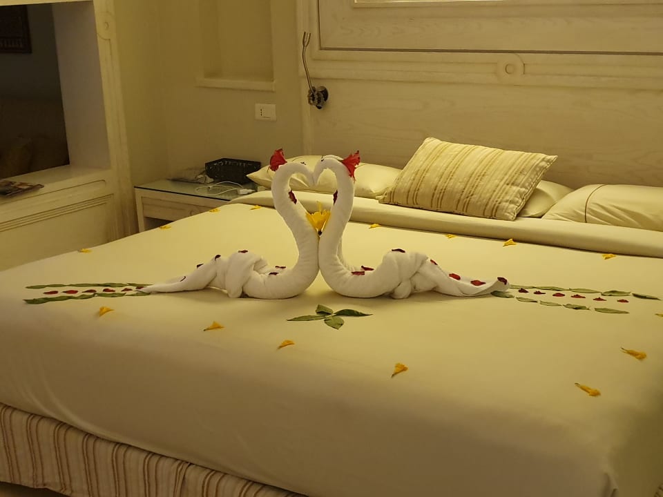 Zimmer Makadi Spa - Adults only