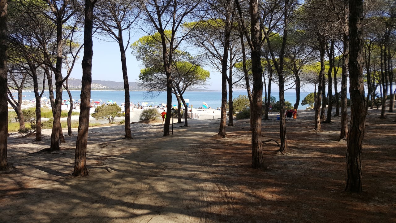 Strand Sardafit Nr. 177/12 - Pool-Bungalow im Gallo di Gallura