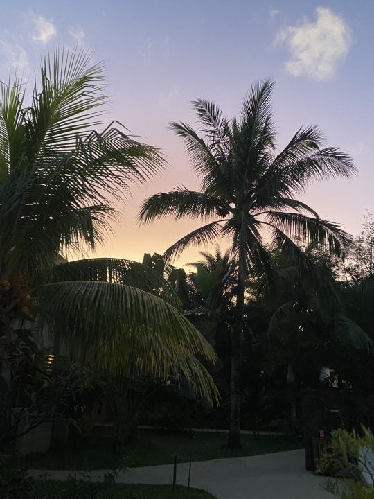 Gartenanlage Friday Attitude