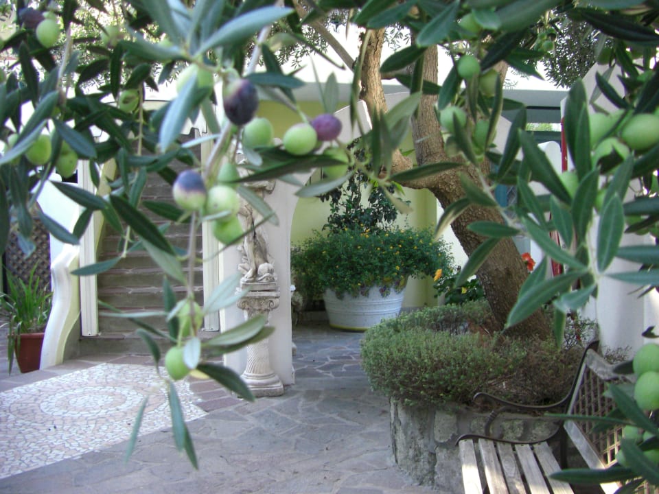 Olivenbaum Park Hotel La Villa