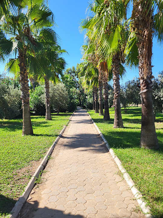 Sonstiges Royal Atlantis Icon