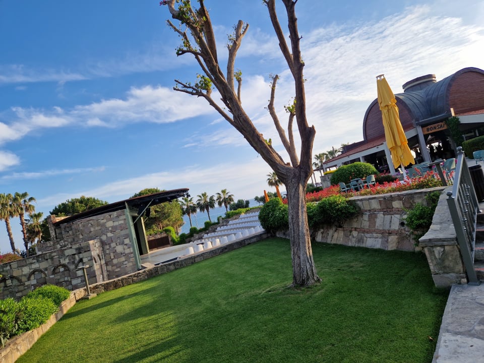 Gartenanlage Arum Barut Collection