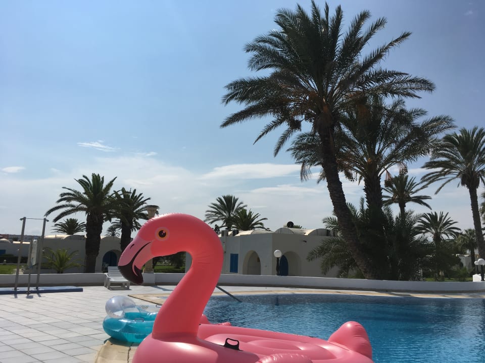 Pool Royal Lido Resort & Spa