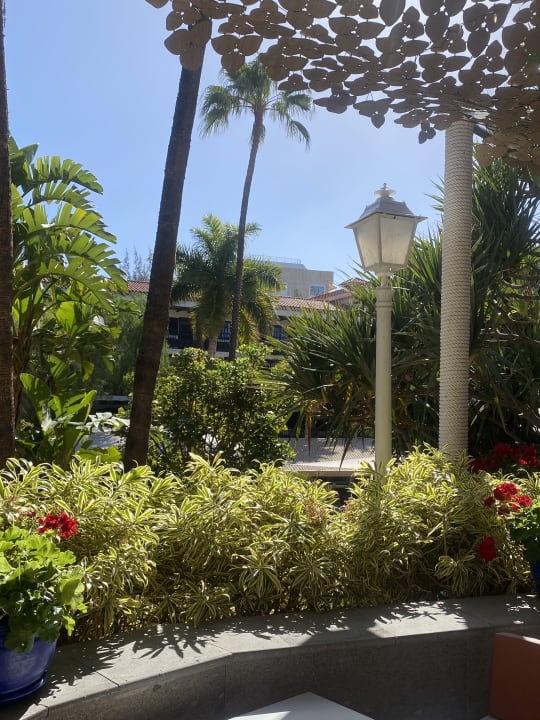Gartenanlage Hotel Parque Tropical