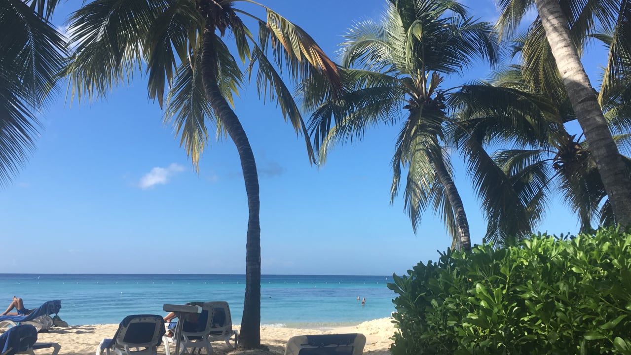 Strand Hotel Viva Dominicus Beach by Wyndham - All Inclusive Resort