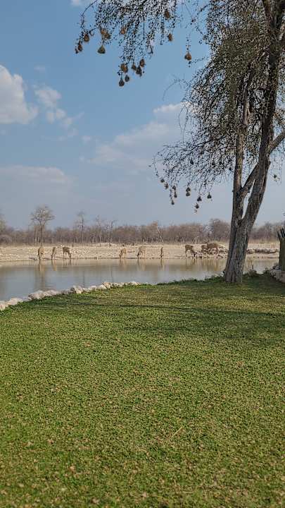 Ausblick Onguma Safari Camps