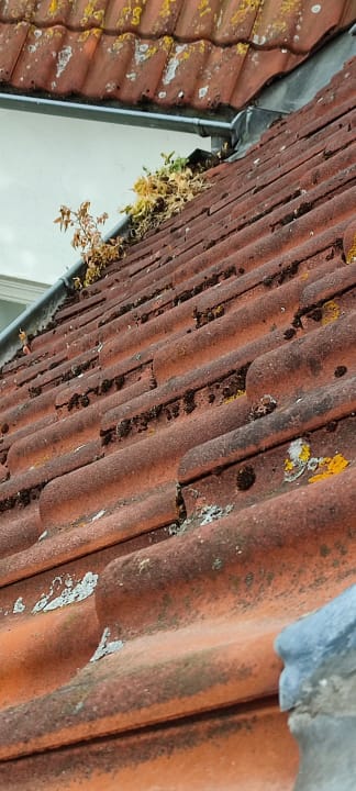Ausblick Hotel Gorch Fock