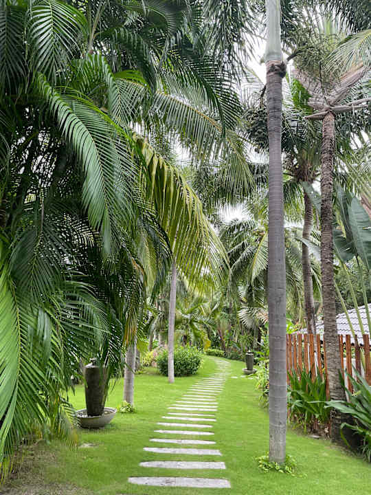 Außenansicht The Cliff Resort & Residences