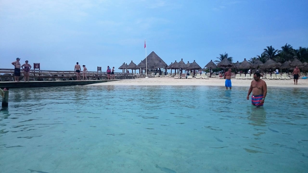 Fische um den Füssen Bahia Principe Luxury Akumal