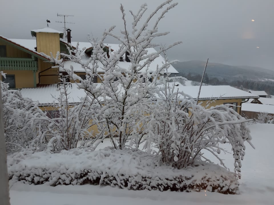 Ausblick Hotel Reinerhof