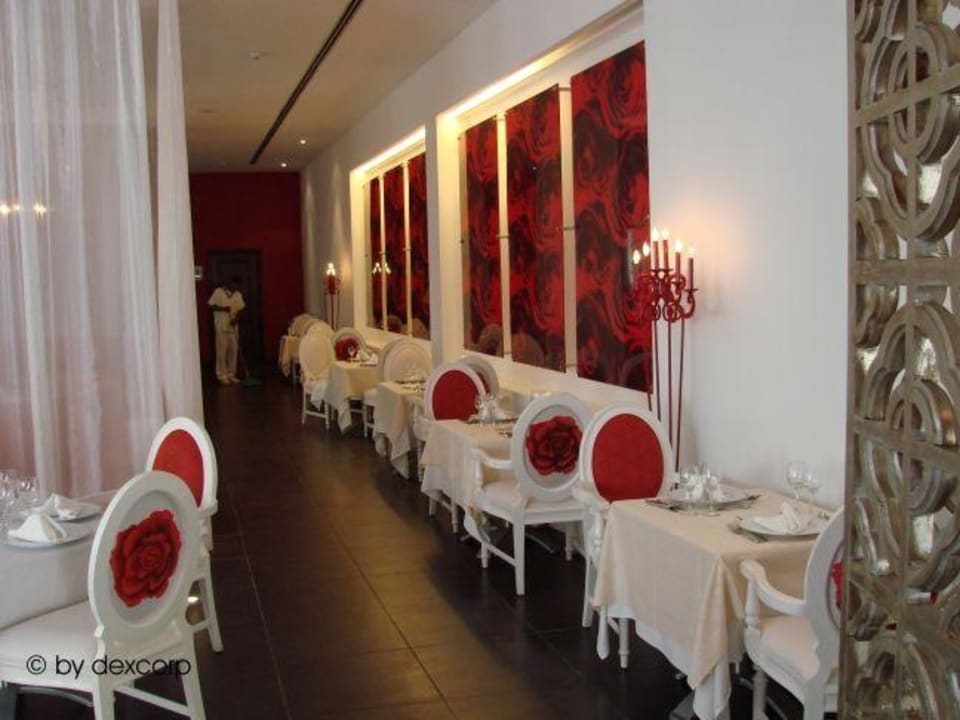 Restaurant Senses im NH Real Arena Dreams Royal Beach Punta Cana