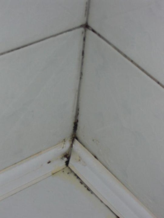 Das BIld spricht für sich! Süral Saray Hotel