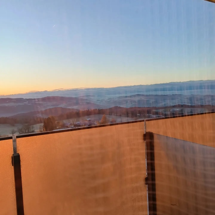 Zimmer AVIVA make friends