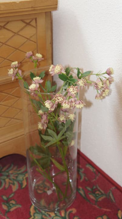 Flur Wellnesshotel Zechmeisterlehen