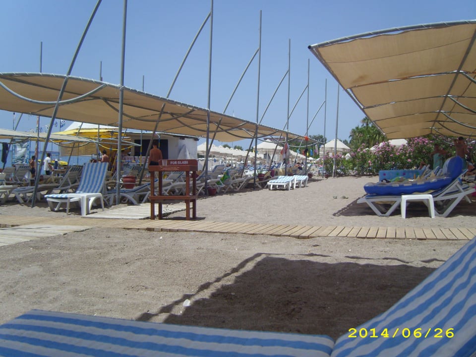 Top Strand  Arycanda Kirman Premium