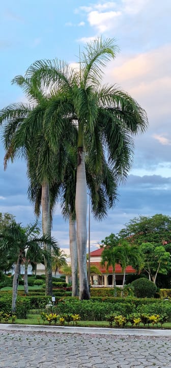 Gartenanlage Sol Rio De Luna y Mares