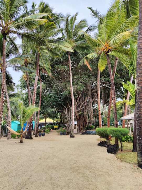 Gartenanlage Lagoon Attitude - Adults only