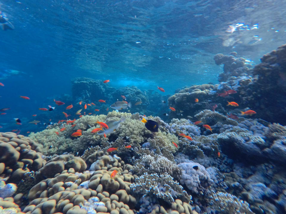 Sport & Freizeit Casa Mare Resort