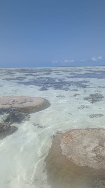 Strand Heron Island Resort