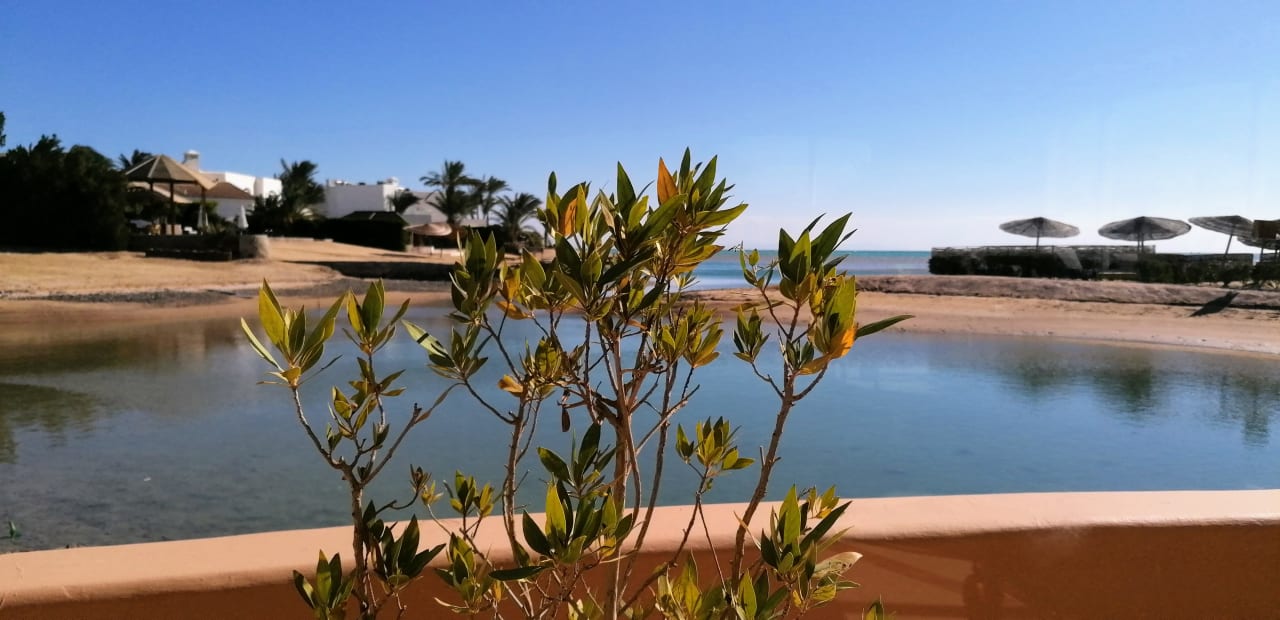 Ausblick Club Paradisio El Gouna, Red Sea
