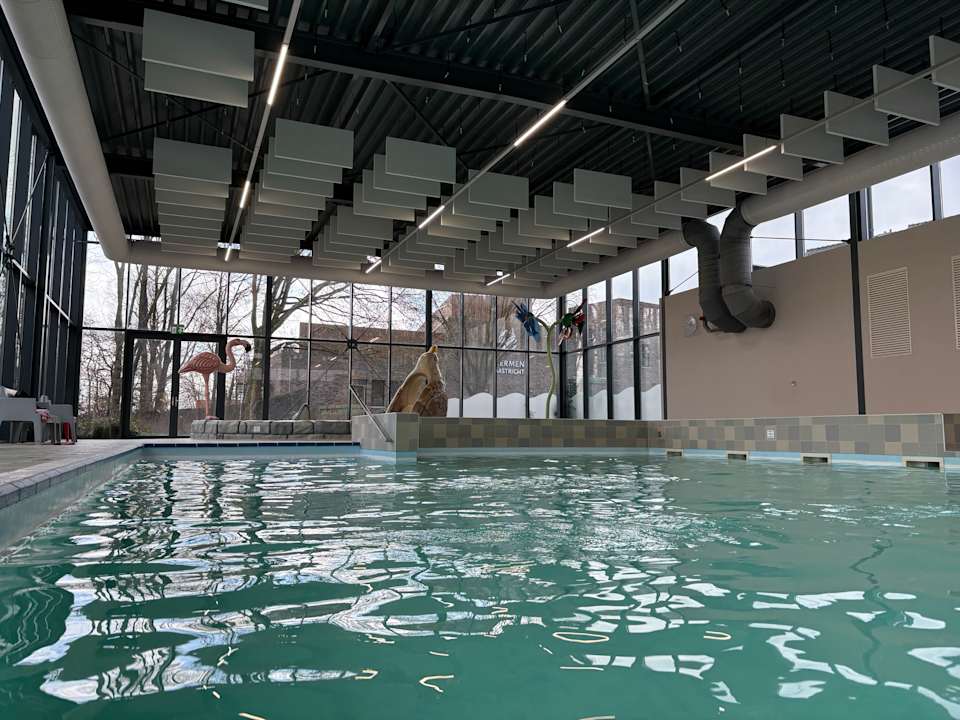 Pool Dormio Resort Maastricht