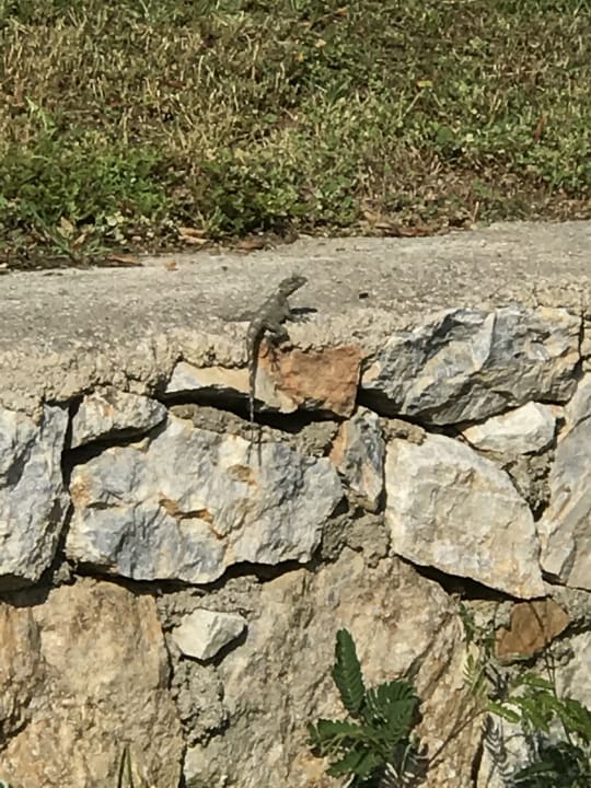 Sonstiges Solivia Hotel