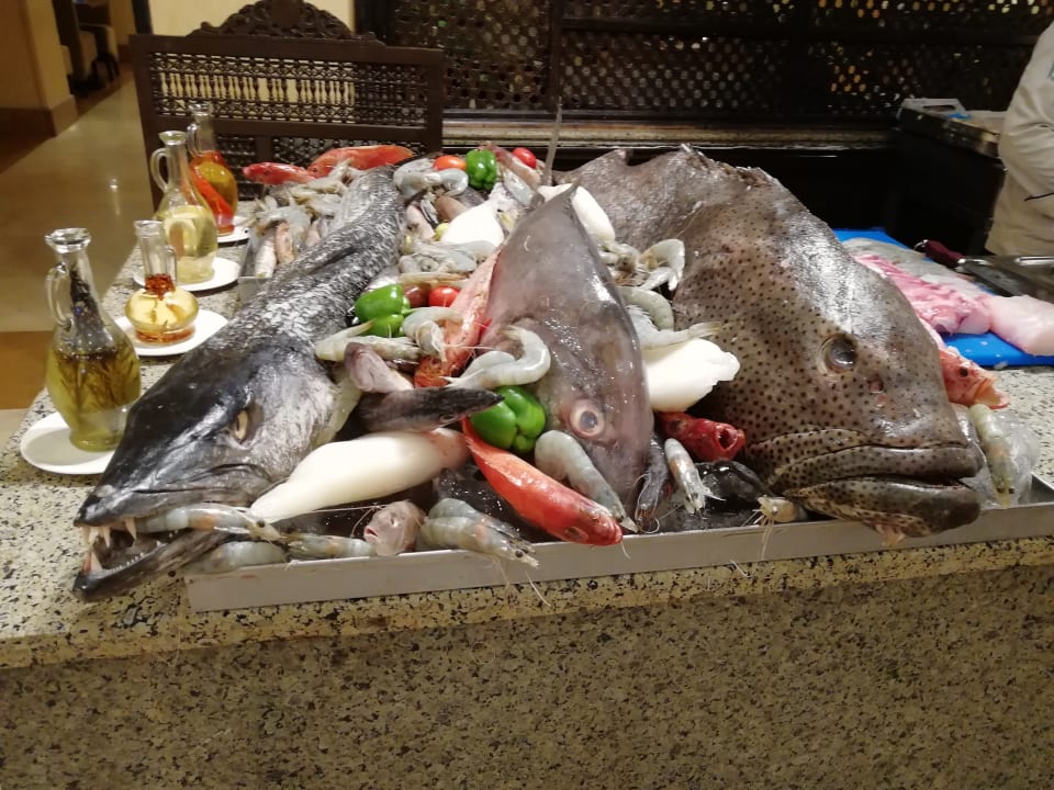 Gastro Hotel JAZ Makadi Star & Spa