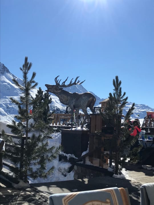 Ausblick Hotel Reine Victoria by Laudinella