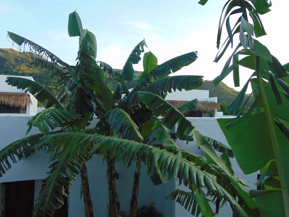 Gartenanlage Amber Lombok Beach Resort