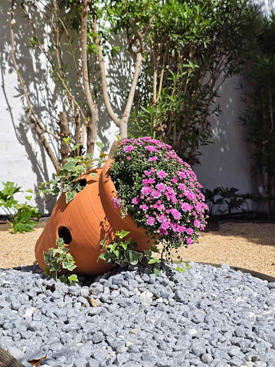 Gartenanlage Hotel Tivoli