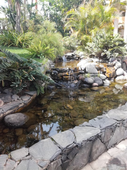 Gartenanlage allsun Hotel Lucana