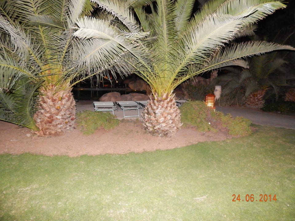 Stella Gardens Stella Garden Resort & Spa, Makadi Bay