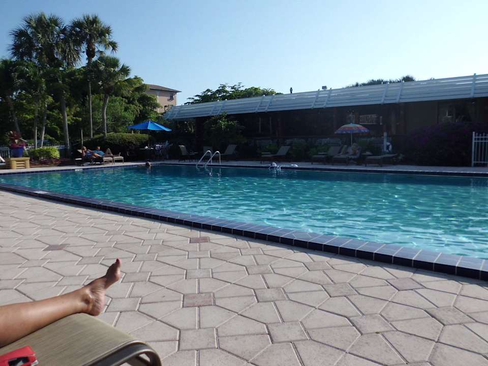 Verölter Beckenrand bitte reinigen Hotel Ramada Inn of Naples