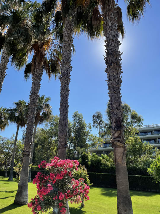 Gartenanlage Arum Barut Collection