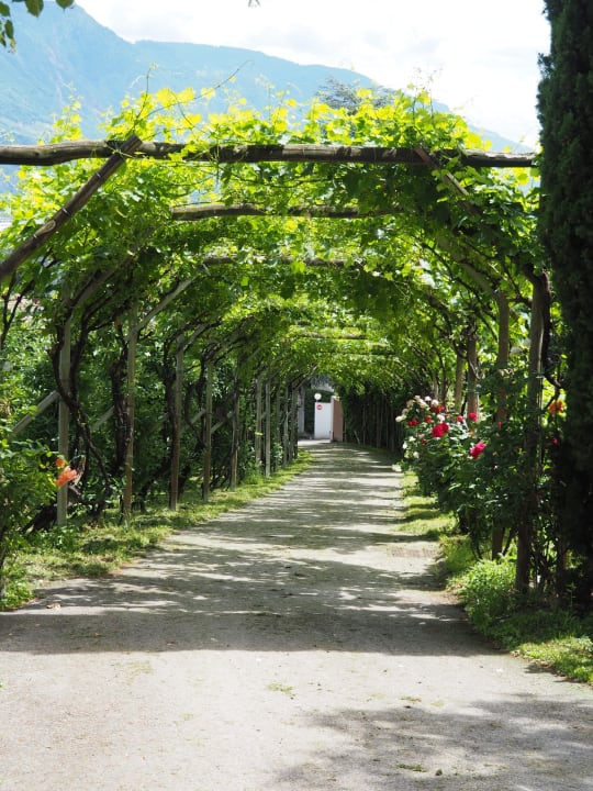 Gartenanlage Feldererhof