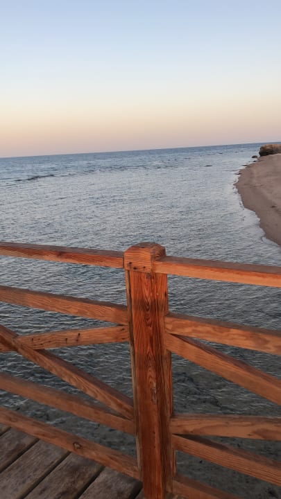 Ausblick Steigenberger Coraya Beach - Adults only