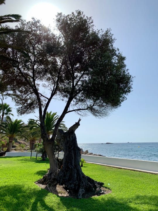 Außenansicht THB Los Molinos - Adults only