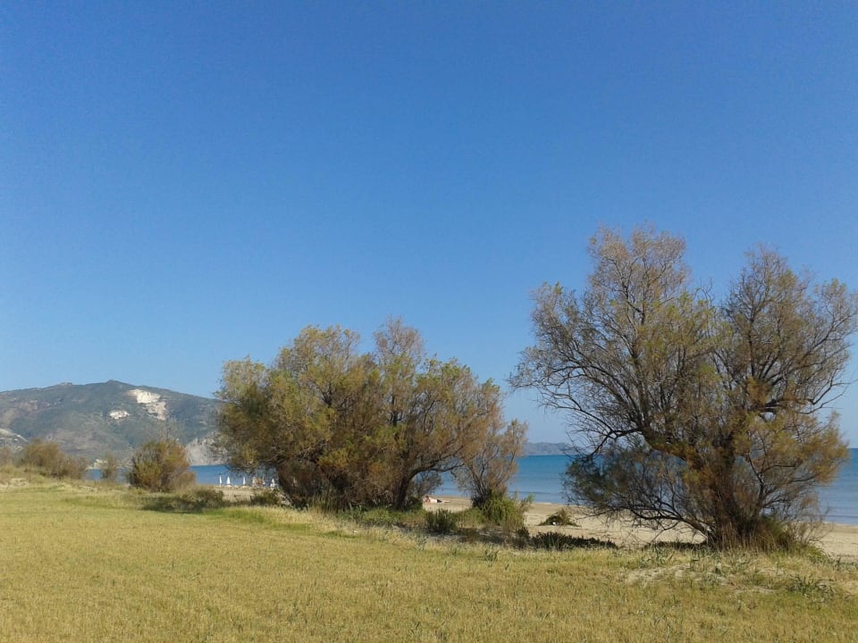 Auf dem Weh vom Bungalow zum Strand Domes Aulūs Zante, Autograph Collection