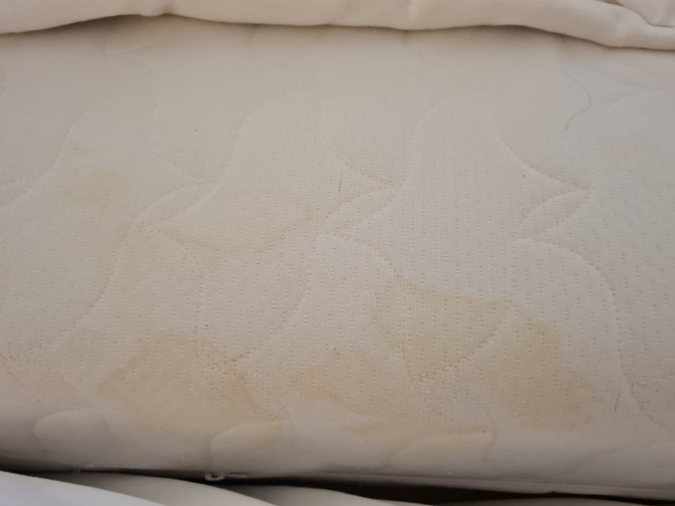 Zimmer Dorint Herrenkrug Parkhotel Magdeburg