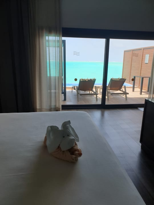 Zimmer Hotel Riu Palace Maldivas