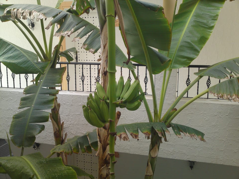 Vor den Zimmern Hotel Nesrine