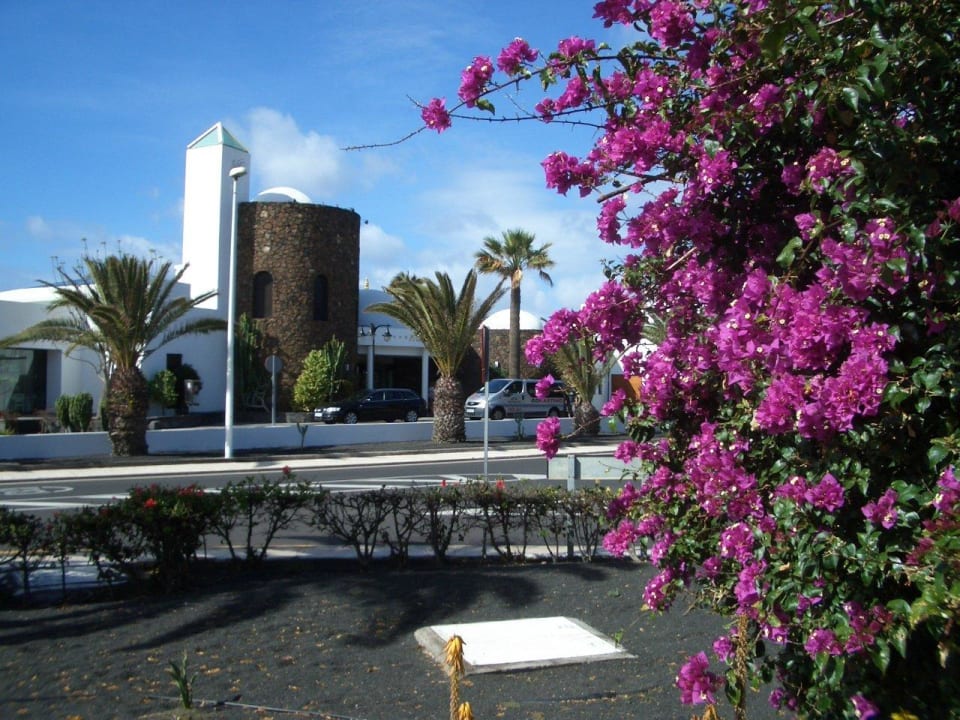 Von gegenüber allsun App.-Hotel Albatros