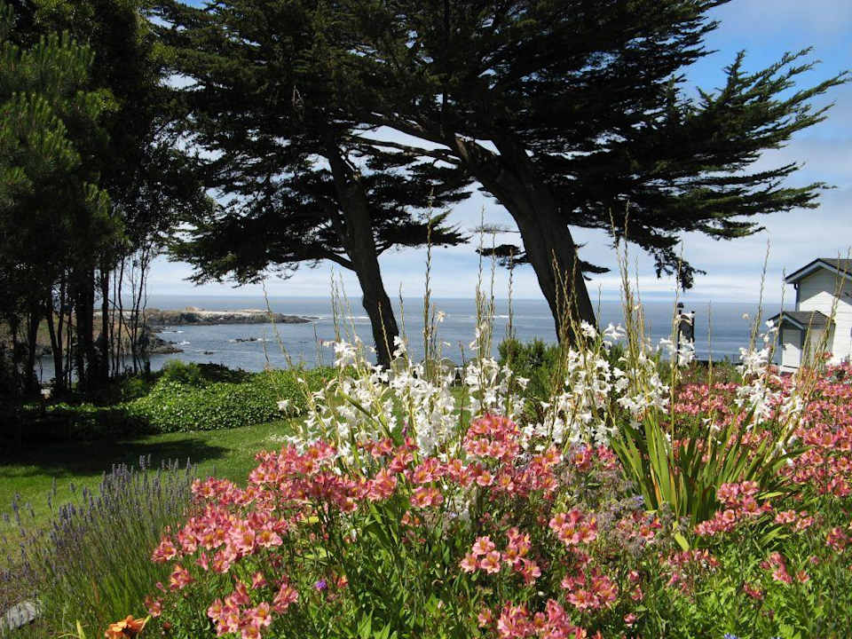 Agate Cove Inn B&B in Mendocino, Kalifornien Agate Cove Inn B&B