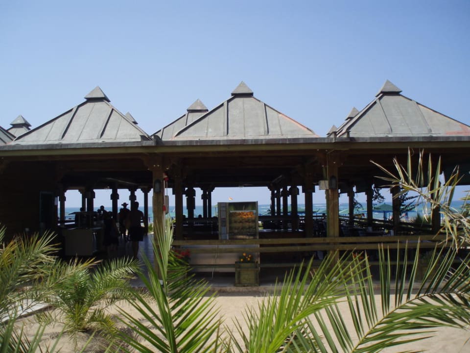 Beachbar Paloma Oceana