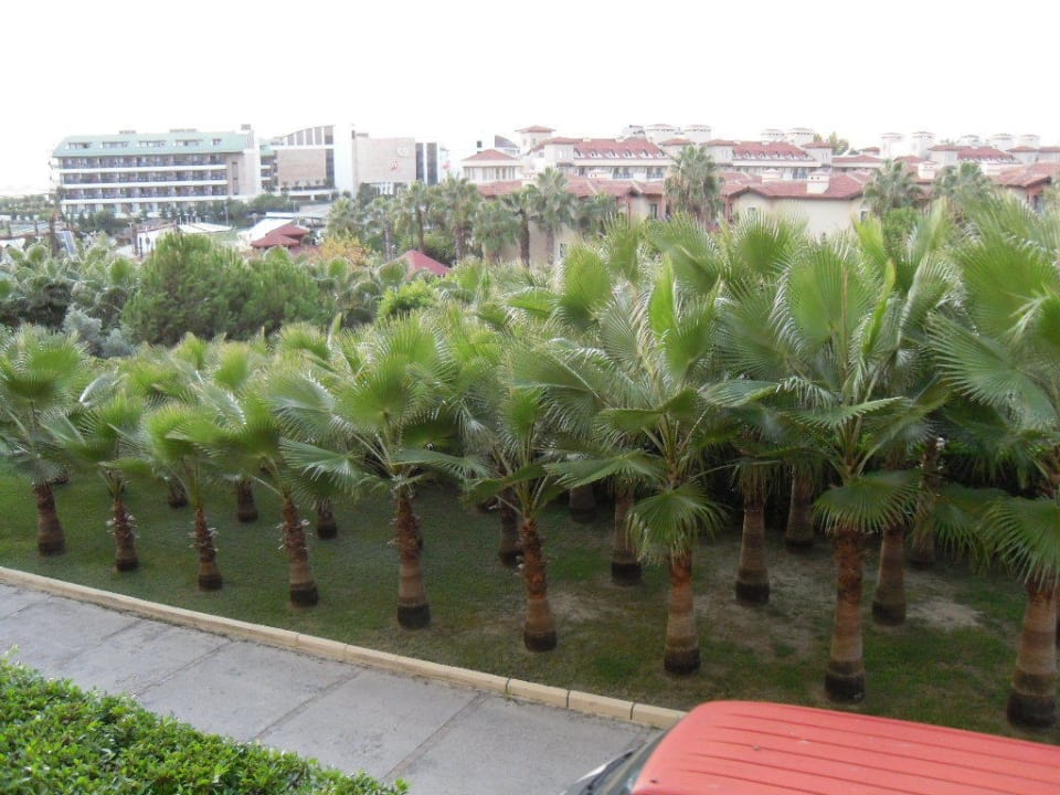 Palmenweg Hotel Miramare Beach