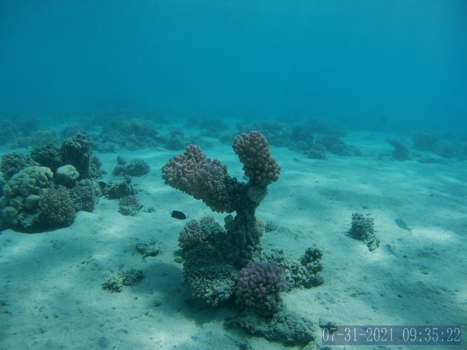 Sport & Freizeit Imperial Shams Abu Soma