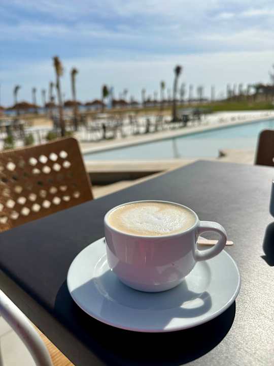 Gastro Sentido Reef Oasis Suakin