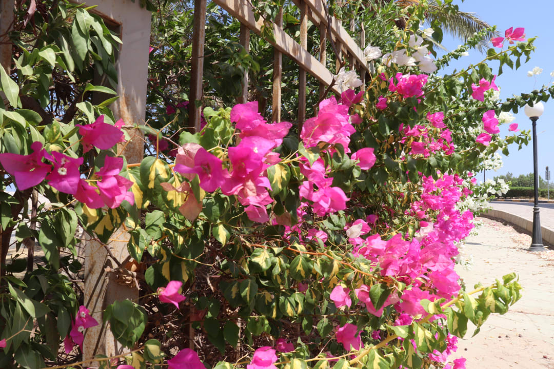 Außenansicht Hurghada Long Beach Resort